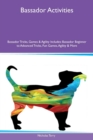 Bassador Activities Bassador Tricks, Games & Agility Includes : Bassador Beginner to Advanced Tricks, Fun Games, Agility & More - Book