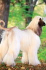 Afghan Hound May Notebook Afghan Hound Record, Log, Diary, Special Memories, to Do List, Academic Notepad, Scrapbook & More - Book