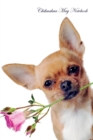Chihuahua May Notebook Chihuahua Record, Log, Diary, Special Memories, to Do List, Academic Notepad, Scrapbook & More - Book