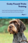 Cesky Fousek Tricks Training Cesky Fousek Tricks & Games Training Tracker & Workbook. Includes : Cesky Fousek Multi-Level Tricks, Games & Agility. Part 1 - Book