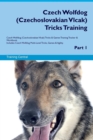 Czech Wolfdog (Czechoslovakian Vlcak) Tricks Training Czech Wolfdog (Czechoslovakian Vlcak) Tricks & Games Training Tracker & Workbook. Includes : Czech Wolfdog Multi-Level Tricks, Games & Agility. Pa - Book