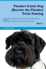 Flanders Cattle Dog (Bouvier Des Flandes) Tricks Training Flanders Cattle Dog (Bouvier Des Flandes) Tricks & Games Training Tracker & Workbook. Includes : Flanders Cattle Dog Multi-Level Tricks, Games - Book