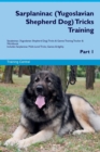 Sarplaninac (Yugoslavian Shepherd Dog) Tricks Training Sarplaninac (Yugoslavian Shepherd Dog) Tricks & Games Training Tracker & Workbook. Includes : Sarplaninac Multi-Level Tricks, Games & Agility. Pa - Book