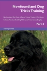 Newfoundland Dog Tricks Training Newfoundland Dog Tricks & Games Training Tracker & Workbook. Includes : Newfoundland Dog Multi-Level Tricks, Games & Agility. Part 3 - Book