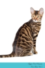 Toyger Cat Presents : Cat Facts Workbook. Toyger Cat Presents Cat Facts Workbook with Self Therapy, Journalling, Productivity Tracker with Self Therapy, Journalling, Productivity Tracker Workbook. Inc - Book