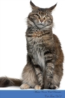 Maine Coon Cat Presents : Cat Facts Workbook. Maine Coon Cat Presents Cat Facts Workbook with Self Therapy, Journalling, Productivity Tracker with Self Therapy, Journalling, Productivity Tracker Workb - Book