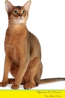 Abyssinian Cat Presents : Cat Facts Workbook. Abyssinian Cat Presents Cat Facts Workbook with Self Therapy, Journalling, Productivity Tracker with Self Therapy, Journalling, Productivity Tracker Workb - Book