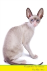 Cornish Rex Cat Presents : Cat Facts Workbook. Cornish Rex Cat Presents Cat Facts Workbook with Self Therapy, Journalling, Productivity Tracker with Self Therapy, Journalling, Productivity Tracker Wor - Book