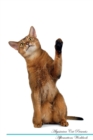 Abyssinian Cat Affirmations Workbook Abyssinian Cat Presents : Positive and Loving Affirmations Workbook. Includes: Mentoring Questions, Guidance, Supporting You. - Book