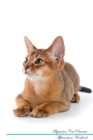 Abyssinian Cat Affirmations Workbook Abyssinian Cat Presents : Positive and Loving Affirmations Workbook. Includes: Mentoring Questions, Guidance, Supporting You. - Book