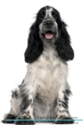 English Cocker Spaniel Affirmations Workbook English Cocker Spaniel Presents : Positive and Loving Affirmations Workbook. Includes: Mentoring Questions, Guidance, Supporting You. - Book