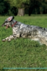 English Setter Affirmations Workbook English Setter Presents : Positive and Loving Affirmations Workbook. Includes: Mentoring Questions, Guidance, Supporting You. - Book