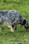 English Setter Affirmations Workbook English Setter Presents : Positive and Loving Affirmations Workbook. Includes: Mentoring Questions, Guidance, Supporting You. - Book