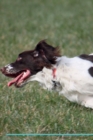 English Springer Spaniel Affirmations Workbook English Springer Spaniel Presents : Positive and Loving Affirmations Workbook. Includes: Mentoring Questions, Guidance, Supporting You. - Book