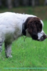English Springer Spaniel Affirmations Workbook English Springer Spaniel Presents : Positive and Loving Affirmations Workbook. Includes: Mentoring Questions, Guidance, Supporting You. - Book