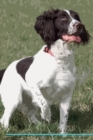 English Springer Spaniel Affirmations Workbook English Springer Spaniel Presents : Positive and Loving Affirmations Workbook. Includes: Mentoring Questions, Guidance, Supporting You. - Book