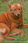 Finnish Spitz Affirmations Workbook Finnish Spitz Presents : Positive and Loving Affirmations Workbook. Includes: Mentoring Questions, Guidance, Supporting You. - Book