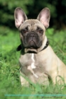 French Bulldog Affirmations Workbook French Bulldog Presents : Positive and Loving Affirmations Workbook. Includes: Mentoring Questions, Guidance, Supporting You. - Book