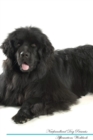 Newfoundland Dog Affirmations Workbook Newfoundland Dog Presents : Positive and Loving Affirmations Workbook. Includes: Mentoring Questions, Guidance, Supporting You. - Book