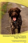 Wirehaired Pointing Griffon Presents : Doggy Wordsearch the Wirehaired Pointing Griffon Brings You a Doggy Wordsearch That You Will Love Vol. 1 - Book