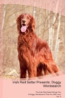 Irish Red Setter Presents : Doggy Wordsearch  The Irish Red Setter Brings You A Doggy Wordsearch That You Will Love! Vol. 3 - Book