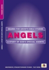 Angels : A Study of God’s Special Agents - Book
