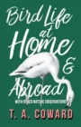 Bird Life at Home and Abroad - With Other Nature Observations - Book