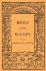 Bees and Wasps - Book
