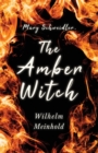 Mary Schweidler, the Amber Witch - Book
