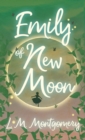 Emily of New Moon - Book