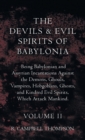 The Devils and Evil Spirits of Babylonia, Being Babylonian and Assyrian Incantations Against the Demons, Ghouls, Vampires, Hobgoblins, Ghosts, and Kindred Evil Spirits, Which Attack Mankind. Volume II - Book