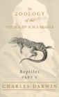 Reptiles - Part V - The Zoology of the Voyage of H.M.S Beagle - Book