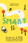 Smart : A Mysterious Crime, a Different Detective - Book