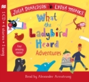 What the Ladybird Heard Adventures - Book