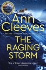 The Raging Storm : A thrilling mystery from the bestselling author of Vera and Shetland - eBook