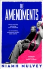 The Amendments : A deeply moving, multi-generational story about love and longing - eBook
