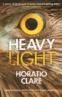 Heavy Light : A Journey Through Madness, Mania and Healing - Book