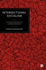 Intersectional Socialism : A Utopia for Radical Interdependence - eBook
