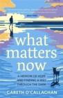 What Matters Now : A Memoir of Hope and Finding a Way Through the Dark - Book