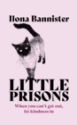 Little Prisons - eBook
