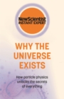 WHY THE UNIVERSE EXISTS - Book