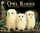 Owl Babies - eBook