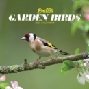 British Garden Birds Mini Square Wall Calendar 2021 - Book