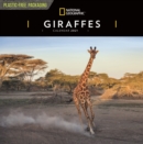Giraffes National Geographic Square Wall Calendar 2021 - Book