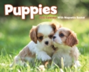 Puppies Mini Box Calendar 2021 - Book