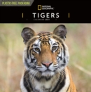 Tigers National Geographic Square Wall Calendar 2021 - Book