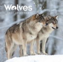Wolves Mini Square Wall Calendar 2021 - Book