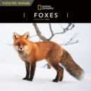 Foxes National Geographic Square Wall Calendar 2021 - Book