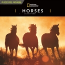 Horses National Geographic Square Wall Calendar 2021 - Book