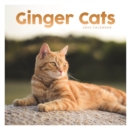 Ginger Cats Square Wall Calendar 2022 - Book